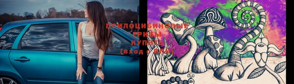 кокс Алзамай