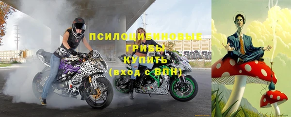 трава Алексин