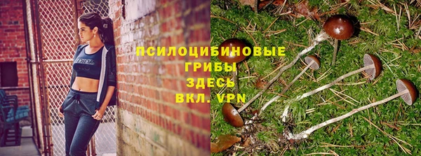 кокс Алзамай